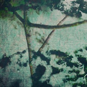 “Vegetation Grows Thick”的封面