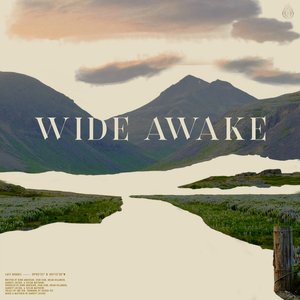 Image for 'Wide Awake'