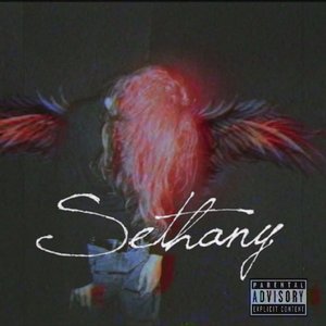 “sethany”的封面