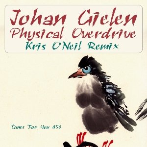 Image for 'Physical Overdrive (Kris O'Neil Remix)'