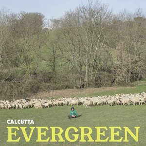 Image for 'EVERGREEN'