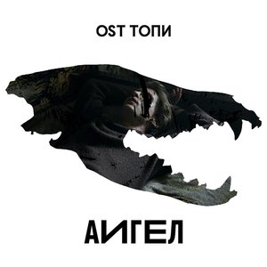 “OST Топи”的封面