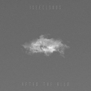 Image for 'after the blur'