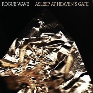 Image for 'Asleep At Heaven's Gate'