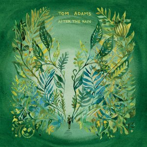 Image for 'After the Rain'