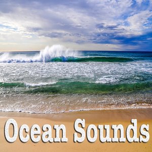 Immagine per 'Ocean Sounds'