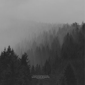 “Withered Dreams (singles 2013-2017)”的封面