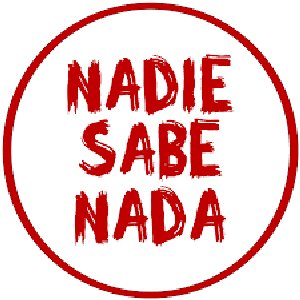 Image for 'Nadie sabe nada'