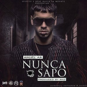 Image for 'Nunca Sapo'