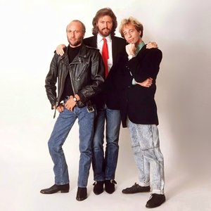 Image for 'Bee Gees'