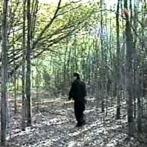 Image for 'LAMIANAGA FILES'