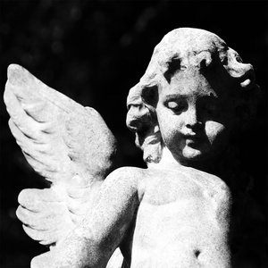 Immagine per 'Passion Depression'
