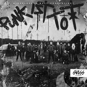 “Punk ist tot”的封面