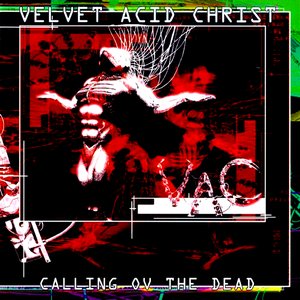 Image for 'Calling Ov The Dead'