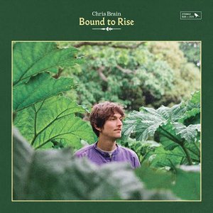 “Bound to Rise”的封面