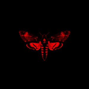 Bild für 'I Am Not a Human Being II (Deluxe)'