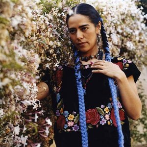 Image for 'Lila Downs'