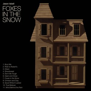 “Foxes in the Snow”的封面