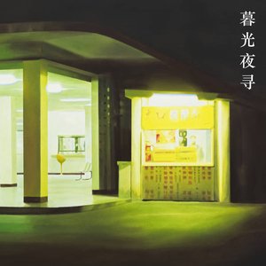 “暮光夜寻 Twilight Diaries”的封面