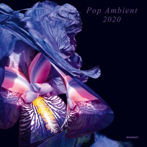 Imagem de 'Pop Ambient 2020'