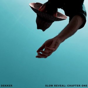 “Slow Reveal: Chapter One”的封面