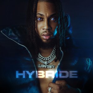 Immagine per 'Hybride'