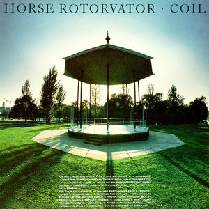 Image for 'Horse Rotorvator'