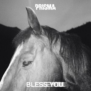Image for 'Kingdom (Bless You Remix)'