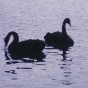 “Helles Licht/ Dunkler Raum”的封面