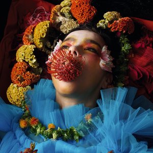 Image for 'Björk'