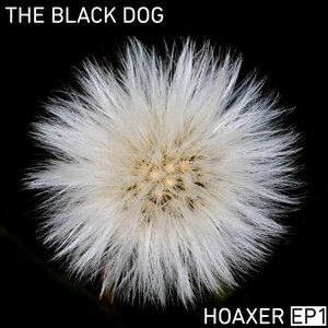 Image for 'Hoaxer EP 1'