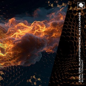 Zdjęcia dla 'Burn Tonight'