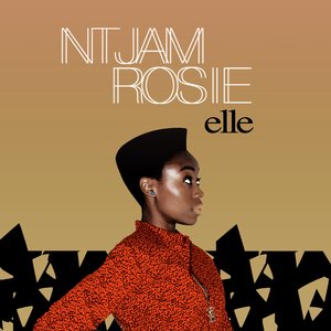 Image for 'Ntjam Rosie - Elle'