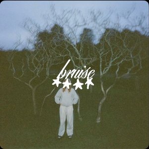 'Bruise'の画像