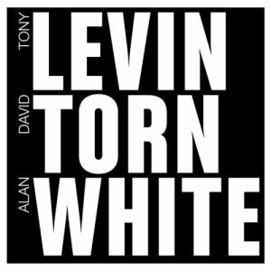Image for 'Levin Torn White'