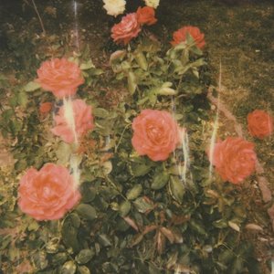 Image for 'chapter 2'
