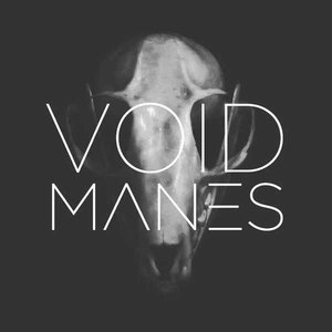 Imagem de 'Void Manes'