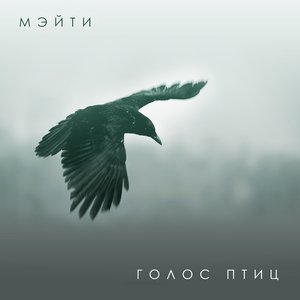 Image for 'Голос птиц'