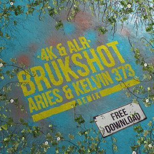 'Brukshot (Aries & Kelvin 373 Remix)' için resim