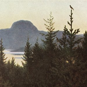 Изображение для 'Tyrant Myst'