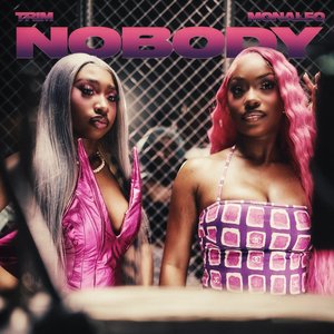 Bild für 'Nobody (feat. Monaleo) [Remix]'