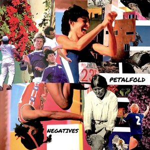 Image for 'Negatives'