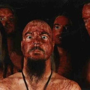 Image for 'Incarnated swe'