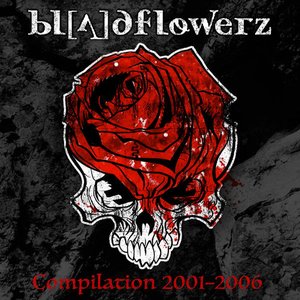 'Compilation 2001-2006'の画像