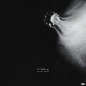 Image for 'Toonel, Vol. 2'
