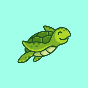 Mr_Turtle-
