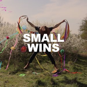 Image for 'Small Wins'