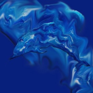 Image for 'wobbly dolphin'