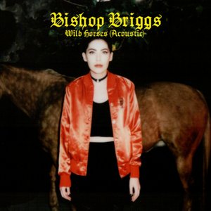 Image for 'Wild Horses (Acoustic)'