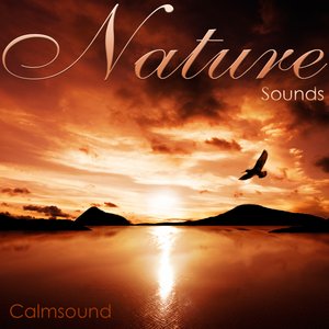 Image pour 'Nature Sounds'